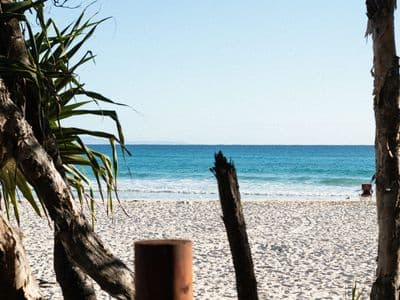 Pandanus trees and driftwood framing an ocean view from the North Gorge Walk, North Stradbroke Island
