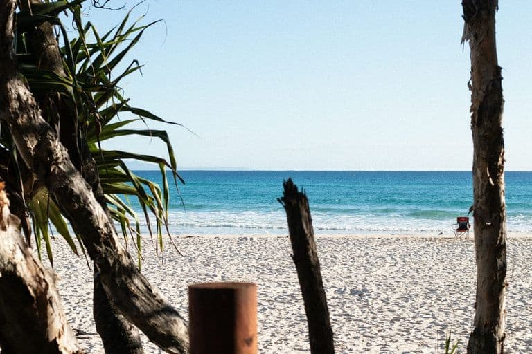 Pandanus trees and driftwood framing an ocean view from the North Gorge Walk, North Stradbroke Island