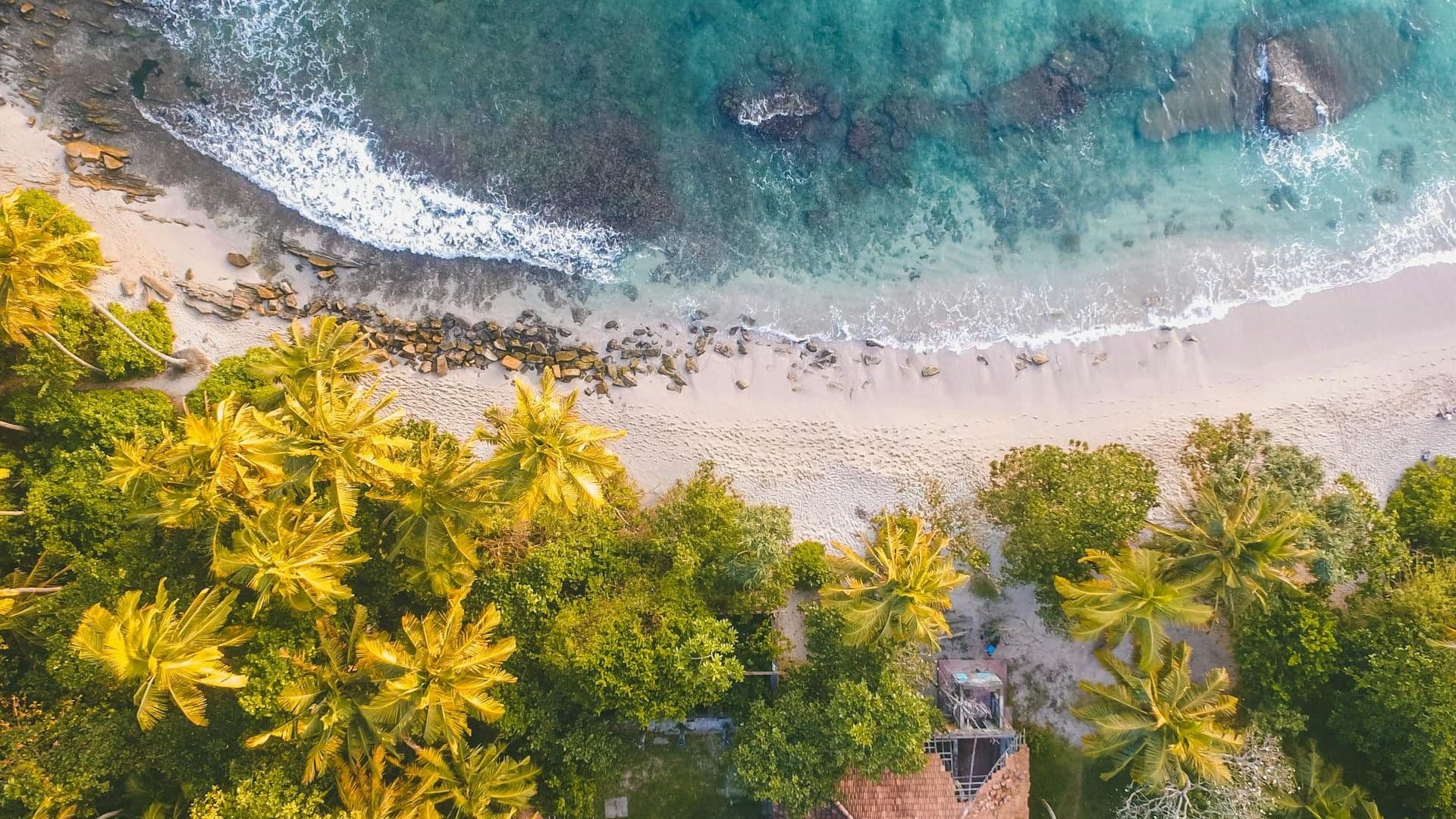 Wide golden sand beach under a clear blue summer sky
